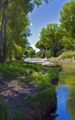 San Pedro River