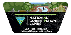 San Pedro Riparian National Conservation Area